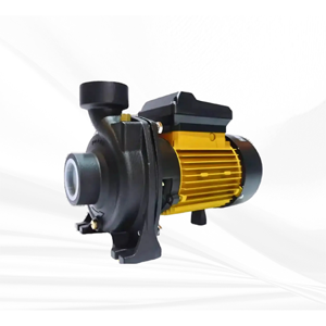 Centrifugal Pump