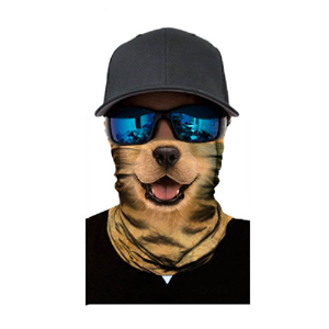 Neck Gaitor