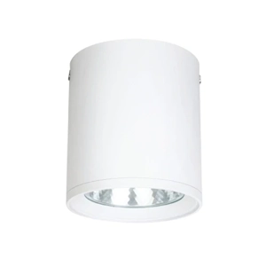 General Purpose Downlight