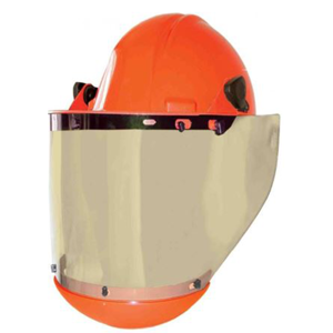 Face Shield