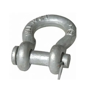 Dee Shackle