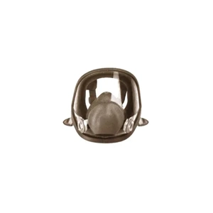 Face Mask