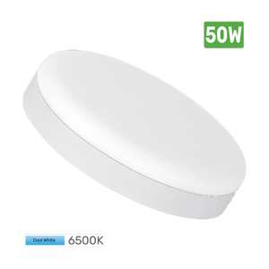 General Purpose Downlight