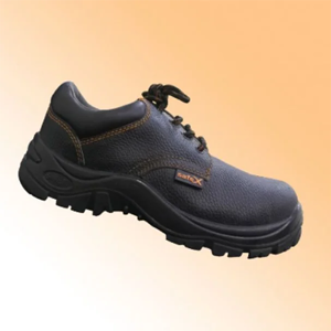 Safety Shoe