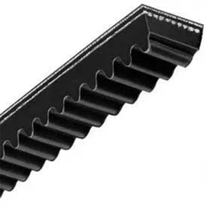V Belt