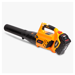 Power Blower
