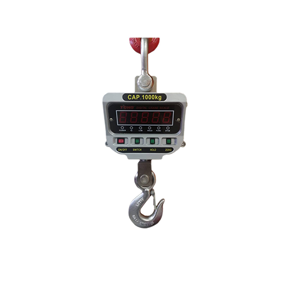 Crane Scale