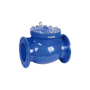 Check Valve