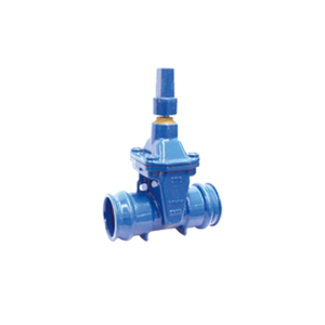 Gate Valve