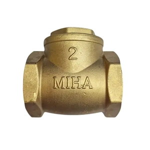 Swing Check Valve