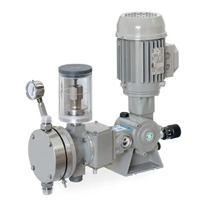 Diaphragm Pump