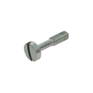 Slotted Screw