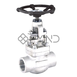 Globe Valve