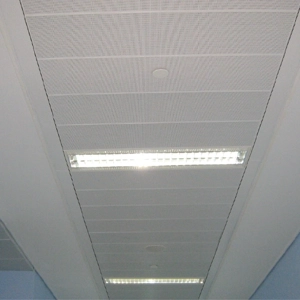 Ceiling Panel
