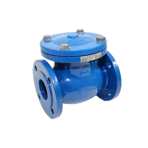 Check Valve
