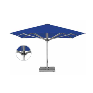 Canopy