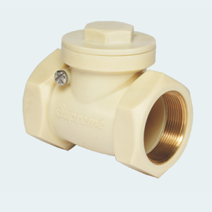 Swing Check Valve