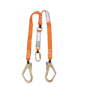 Lanyard