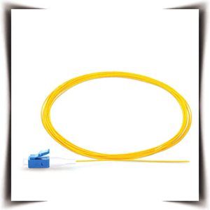 Power Cord
