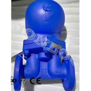 Steam Trap