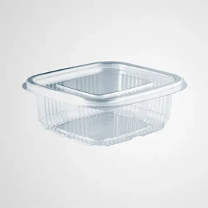 Disposable Plastic Box