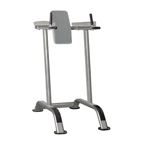 Vertical Knee Raise